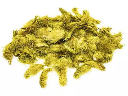 REBHUHN-FEDERN hotfly - 2 g - selected dyed olive