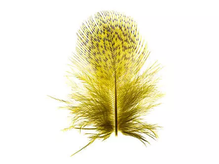 REBHUHN-FEDERN hotfly - 2 g - selected dyed olive