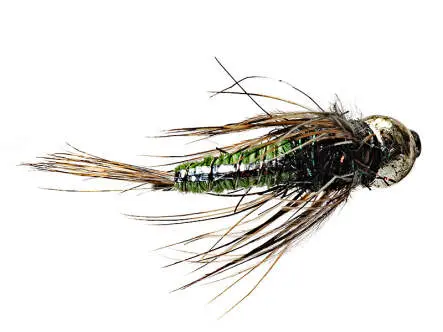 Ales Trout Star Olive TG BL 10