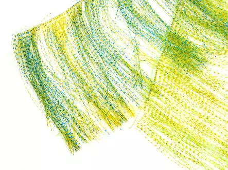 XXL PREDATOR BRUSH hotfly - gold barred - 100 mm