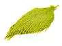 HAHNENBALG GRIZZLY PRO TYER hotfly
