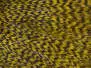 HAHNENBALG GRIZZLY PRO TYER hotfly - olive