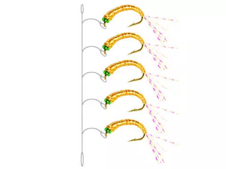 Alosa Agone Hegene FLASHABOU YELLOW