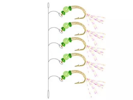 Alosa Agone Hegene EVERGLOW GREEN