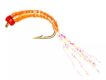 Alosa Agone Hegene FLASHABOU SALMON ORANGE