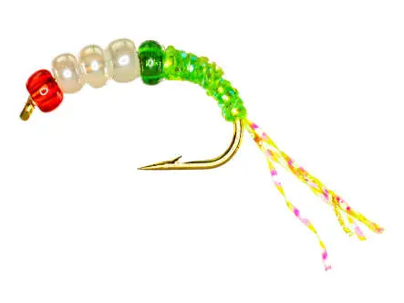 Alosa Agone Hegene PEARL GREEN