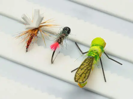 Fliegendose hotfly ALUSILI Blue Small