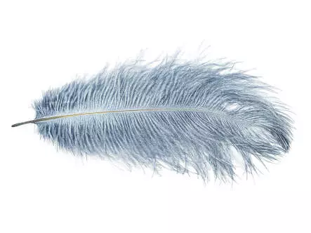 STRAUSSENFEDER (OSTRICH HERL) V2 hotfly - 1 Stk. - 25/30 cm