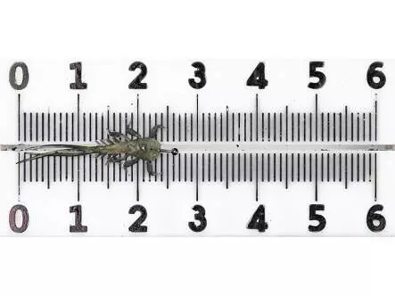 Eintagsfliegenlarve - klammernd - tan - 25 mm