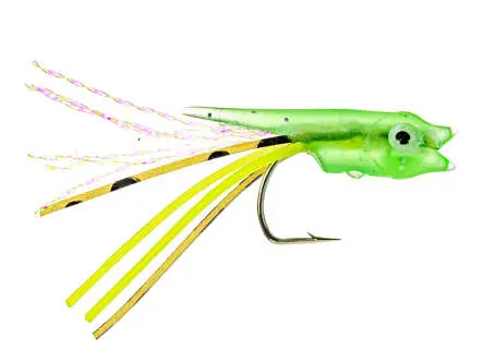 Barsch Hegene MINNOW HEADS
