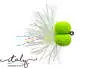 Clown Booby White