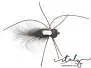 Large Foamfloater Black CDC Stonefly 10