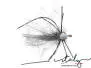 Legged Foam Hopper Grey