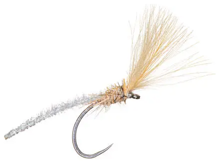 Palomino Variant Fliegenbinde Set