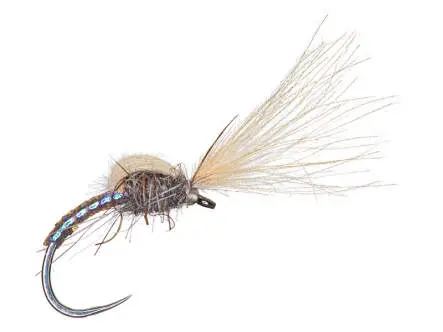 CDC Buzzer Fliegenbinde Set