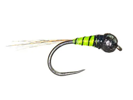 Yellow Black Perdigon TB BL