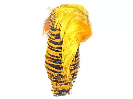 GOLDFASAN KOPF KOMPLETT 2° Wahl - hotfly