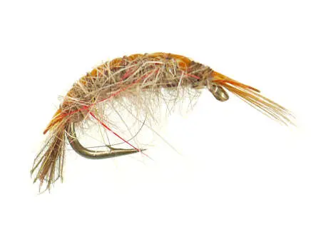 Classic Gammarus Olive 14