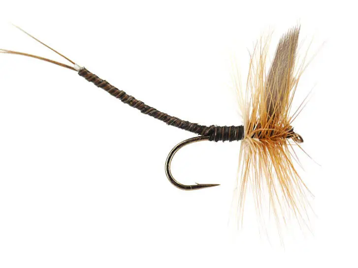 Ginger Quill Extended Body Mayfly 10