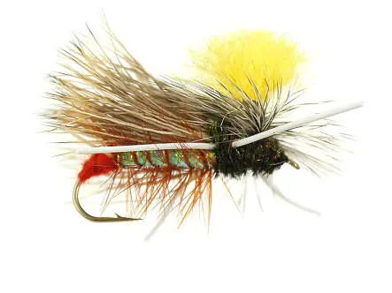 Worleys Yak Stone 6