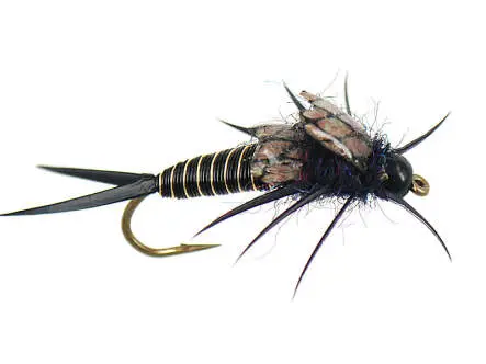 Copperback Stone - Black 8