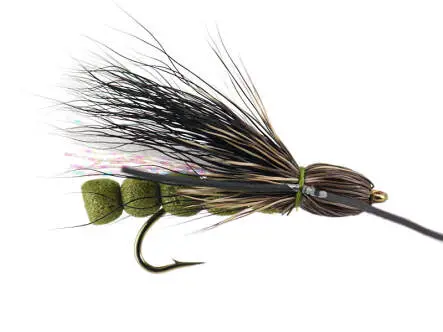Roque Giant Olive 8
