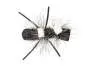 Double Hackle Chernobyl Ant 10