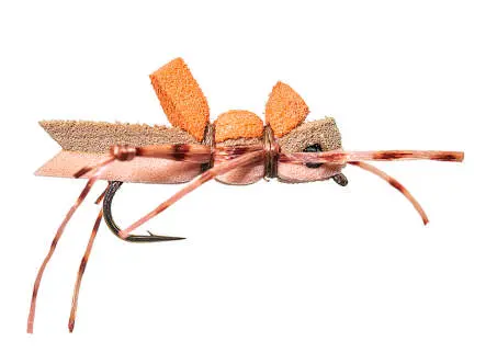 More-or-Less Hopper - Peach 10