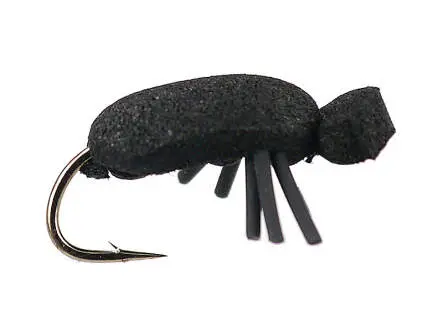 Black Beetle 12