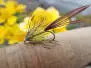 French Partridge Mayfly 10