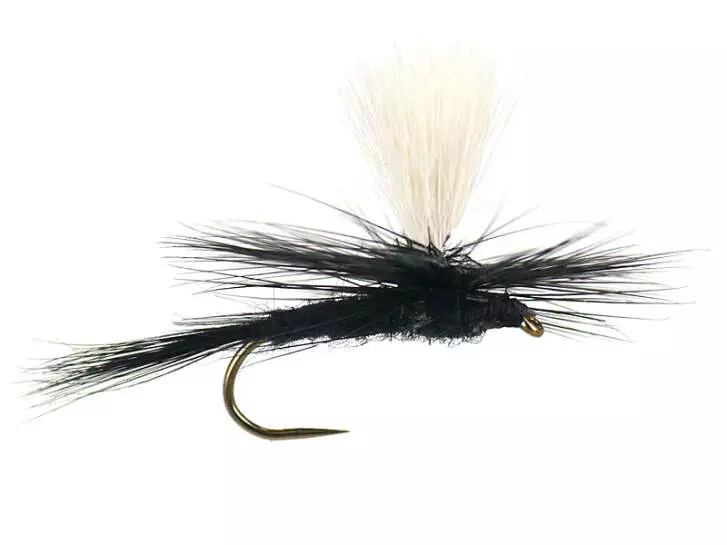 Parachute Black Gnat BL