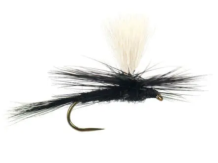 Parachute Black Gnat BL