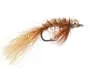 Spawning Shrimp Tan