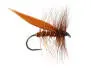 Brown Sedge