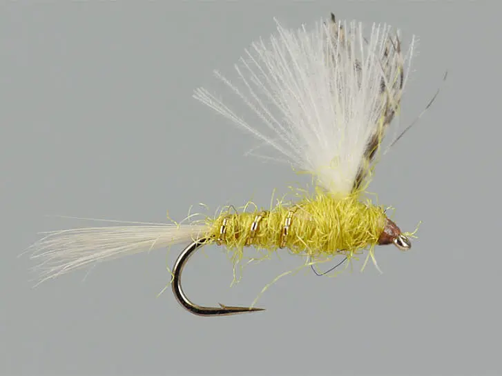 CDC Yellow Dun
