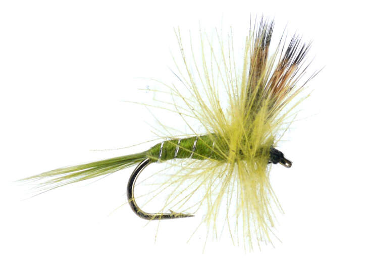 CDC Dry Pale Olive