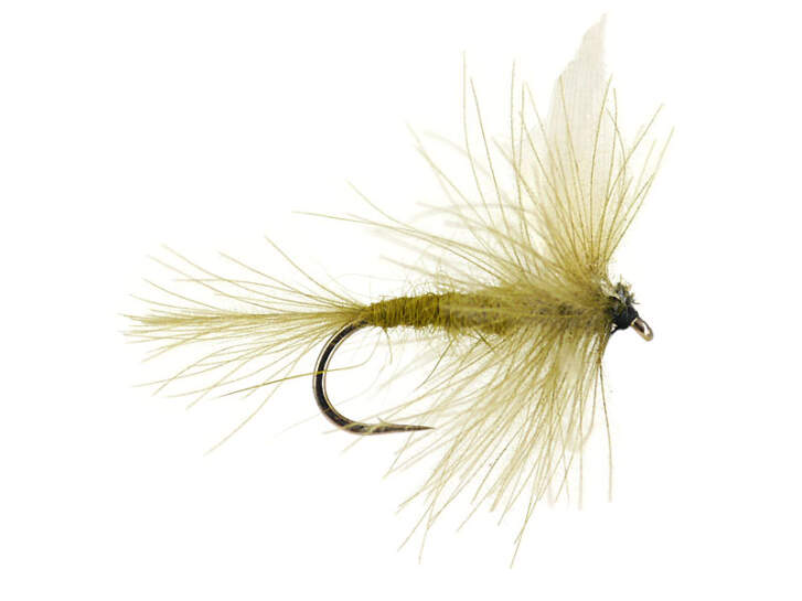 CDC Blue Winged Olive Dry