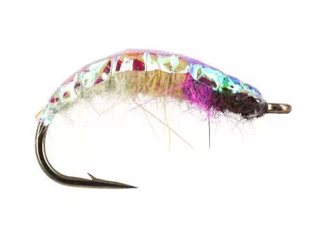 Rainbow Czech Nymph
