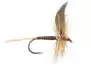 Ginger Quill