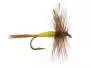 Adams Yellow