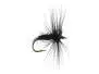 Black Spider