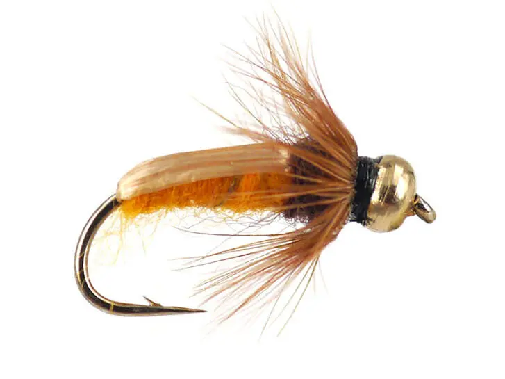 Amber Nymph