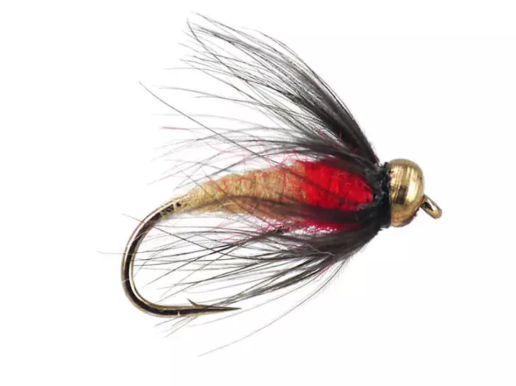 Sedge Pupa