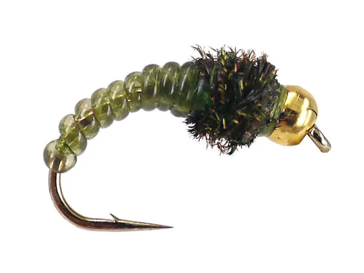 Caddis Larve Olive