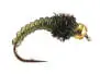 Caddis Larve Olive