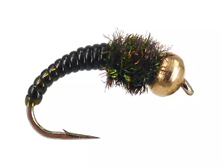 Dark Caddis Larva