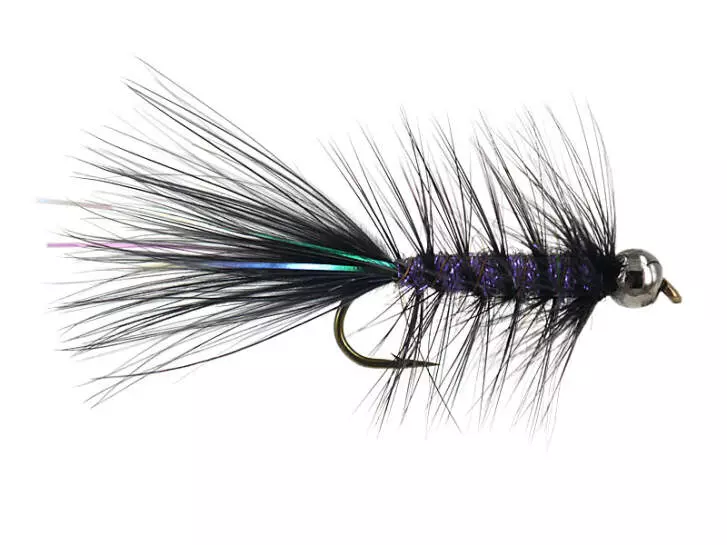 W.B. Bright Violet Competition