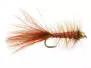 W.B. Bright Brown Competition
