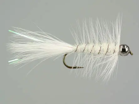 W.B. Bright White Competition