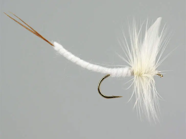 White Extended Body Mayfly